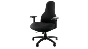 Carmel Posture chair