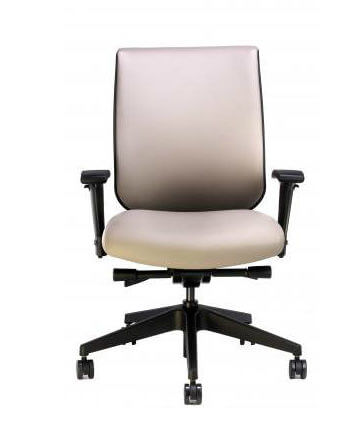 RFM Tech upholstered back chair in San Diego
