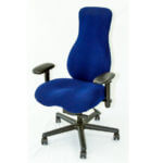Tranquility Tall ergonomic chair in San Diego