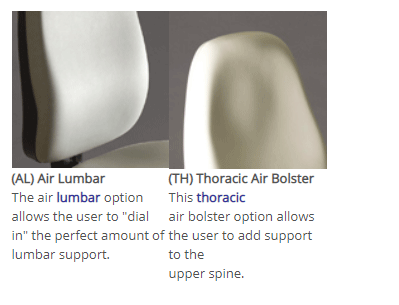 Thoracic and lumbar
