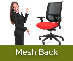 Mesh Back Ergonomic Chairs