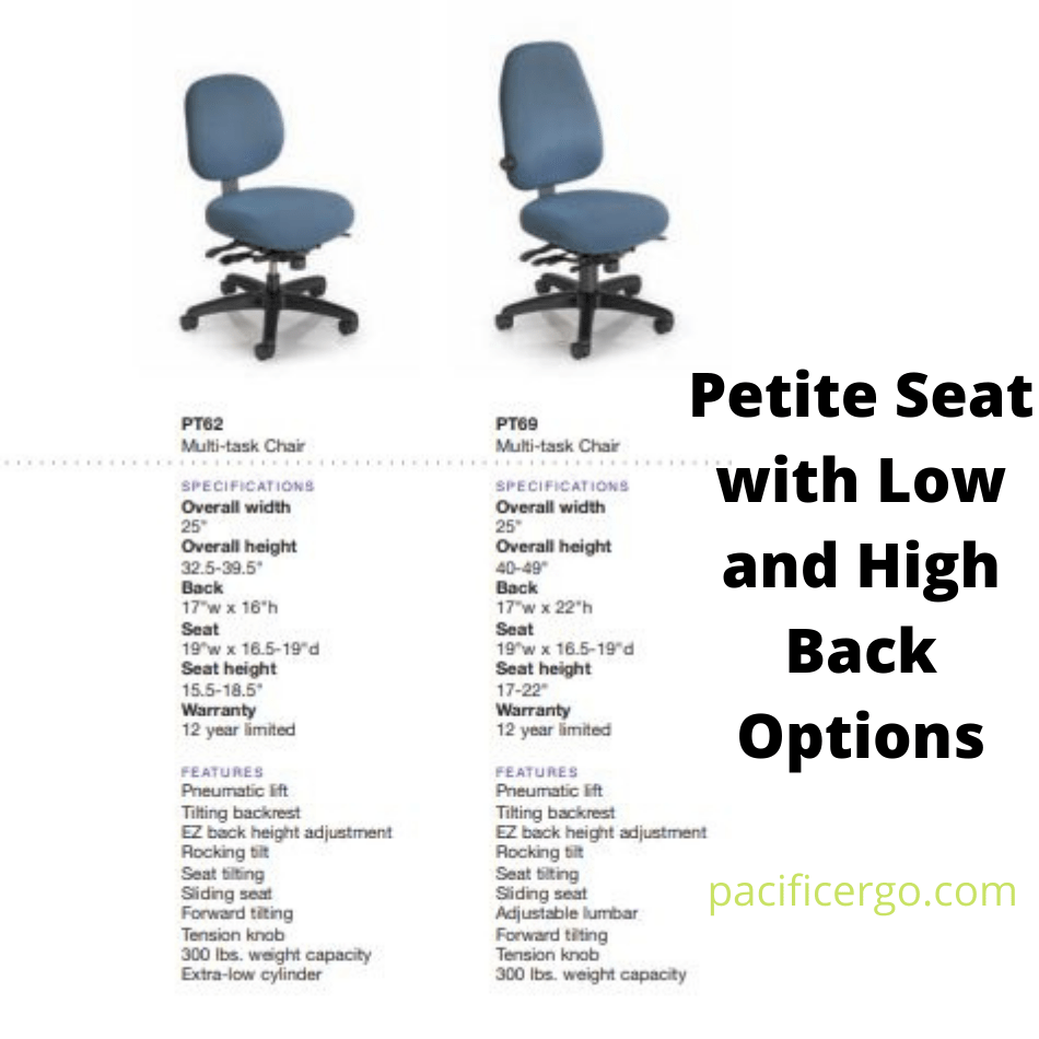 Petite Office Master Ergonomic PT 69 with low and high back options