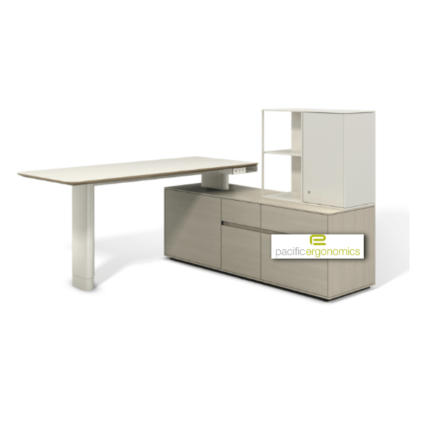 Sophisticated executive office furniture