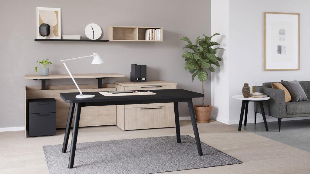 Sit and Stand Desk to Maximize Space