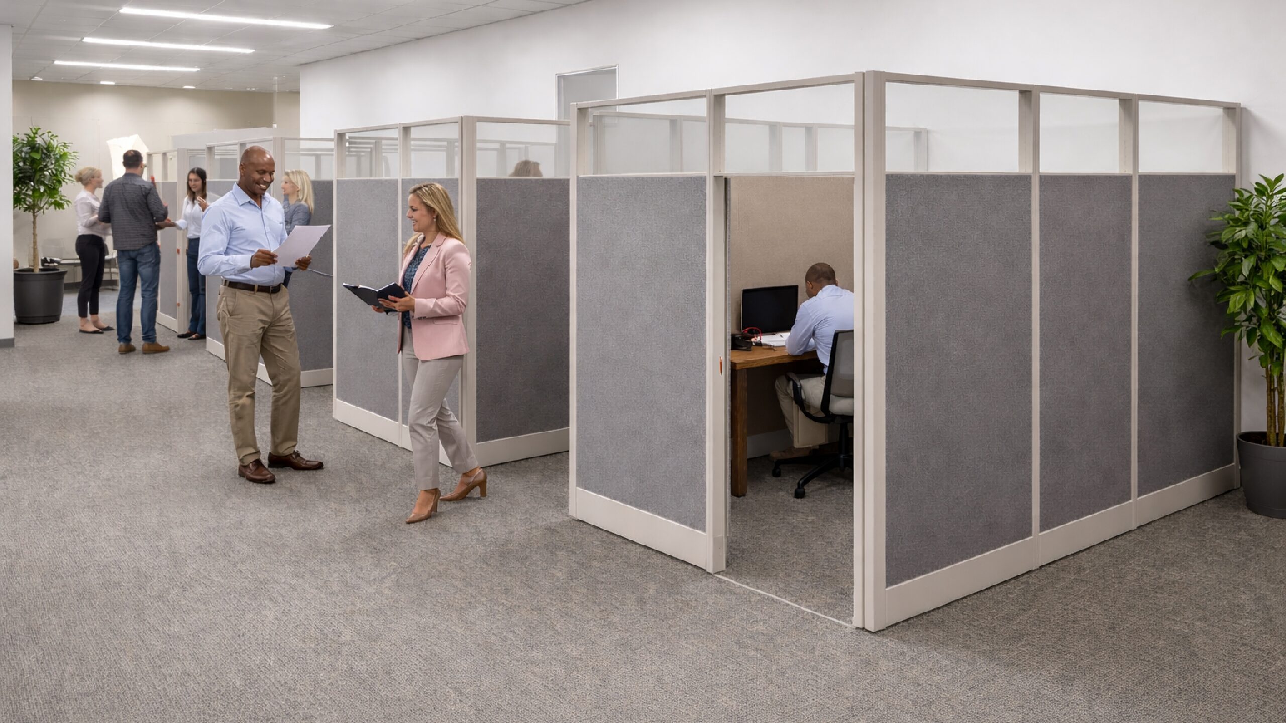 Private Office Cubicles