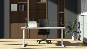 60x30 Desk Adjustable