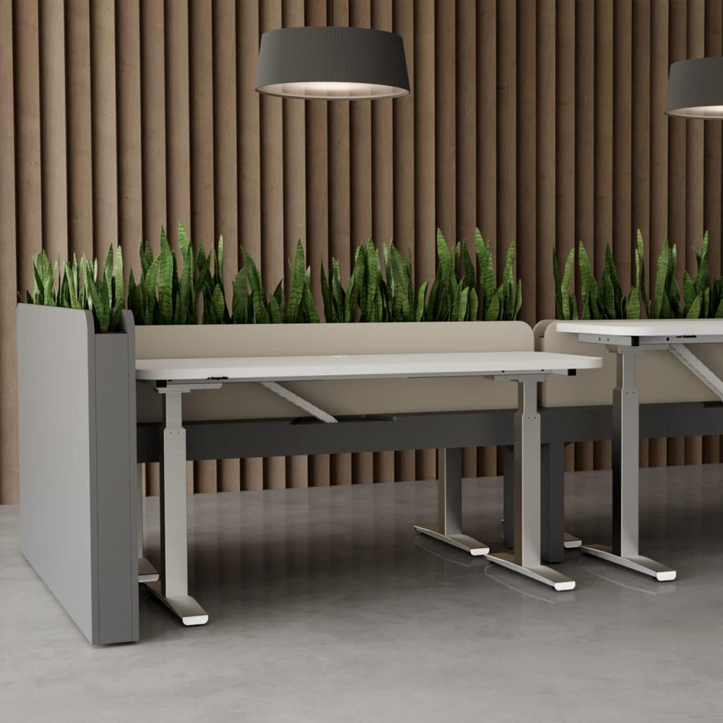 Biophilic Design Desk Placement