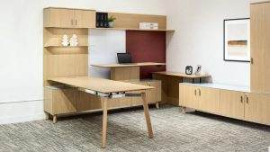 Executive Sit Stand Laptop Desk