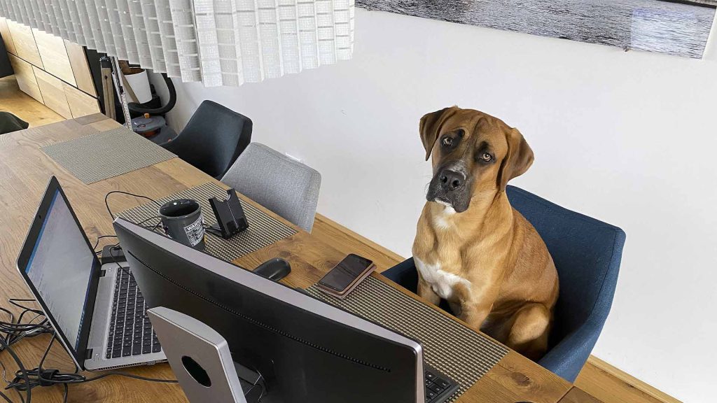 Pacific Ergonomics provides a comprehensive home office ergonomic assessment program tailored for corporate clients to support the ergonomic health and safety of employees working remotely. Our complete service includes certified ergonomists conducting virtual assessments, integrated scheduling software, a procurement portal to monitor employee progress, and an ergonomic product catalog with installation services for home setups, featuring sit-stand desks and ergonomic chairs. Leadership teams across the country are recognizing the immense value of providing home office ergonomic assessments for new hires and existing employees. This strategy not only mitigates the risk of costly claims due to Musculoskeletal Disorders (MSDs) but also significantly enhances employee comfort, job acceptance, and retention. We collaborate with EHS teams who are committed to equipping their employees with the essential tools and personalized training they need. Our proactive approach not only boosts home office safety and efficiency but also elevates morale, making employees proud to be part of organizations that genuinely care for their well-being. The Need for Ergonomic Home Office Assessments: Any company with employees working hybrid or remotely across the country can benefit from our services. Pacific Ergonomics supports businesses of all sizes, from small companies to Fortune 500 firms. Employees working from home face a higher risk of Musculoskeletal Disorders (MSDs) than their corporate counterparts. Often, they lack the right tools or don't know what they need for their specific situations. Our holistic approach delivers the necessary tools, resources, and expertise to prevent injuries and enhance employee well-being. We collaborate closely with health and safety teams to address the unique needs of hybrid or remote workers. Also, our programs increase morale, attract quality employees and improve retention and overall job satisfaction. Home office ergonomic programs are inherently more complex due to the diverse environments in which employees work. Challenges include varying space sizes, connectivity to existing equipment, acoustics, and privacy concerns. What Sets our Turn Key Home Office Ergonomic Assessment Services Apart: What sets us apart is our deep sensitivity to home office environments and our comprehensive turn-key home office software portal. We drive positive change without the need for home visits, ensuring employees have the right tools and know how to use them effectively. We establish the entire backbone of the program with certified ergonomists who are also ergonomic product experts,  EHS software solutions, effective systems and processes, an ergonomic product catalog, procurement portal making it easy to schedule assessments and have full visibility of all assessments, and home office installation services across the U.S., even in remote areas. For companies conducting dozens of assessments a week, we make this process seamless, saving valuable time for everyone from EHS to HR, employees, and managers. Home office ergonomic programs are inherently more complex than corporate ones due to the diverse home environments employees work in. Challenges include varying space sizes, connectivity to current equipment, acoustics, and privacy issues. Join us in prioritizing employee well-being and drive your organization toward a healthier, more productive future. Together, we can overcome challenges, push limits, and achieve success. Let's inspire, motivate, and ensure every employee has the tools they need to thrive. Pacific Ergonomics provides a comprehensive home office ergonomic assessment program tailored for corporate clients to support the ergonomic health and safety of employees working remotely. Our complete service includes certified ergonomists conducting virtual assessments, integrated scheduling software, a procurement portal to monitor employee progress, and an ergonomic product catalog with installation services for home setups, featuring sit-stand desks and ergonomic chairs. Leadership teams across the country are recognizing the immense value of providing home office ergonomic assessments for new hires and existing employees. This strategy not only mitigates the risk of costly claims due to Musculoskeletal Disorders (MSDs) but also significantly enhances employee comfort, job acceptance, and retention. We collaborate with EHS teams who are committed to equipping their employees with the essential tools and personalized training they need. Our proactive approach not only boosts home office safety and efficiency but also elevates morale, making employees proud to be part of organizations that genuinely care for their well-being. The Need for Ergonomic Home Office Assessments: Any company with employees working hybrid or remotely across the country can benefit from our services. Pacific Ergonomics supports businesses of all sizes, from small companies to Fortune 500 firms. Employees working from home face a higher risk of Musculoskeletal Disorders (MSDs) than their corporate counterparts. Often, they lack the right tools or don't know what they need for their specific situations. Our holistic approach delivers the necessary tools, resources, and expertise to prevent injuries and enhance employee well-being. We collaborate closely with health and safety teams to address the unique needs of hybrid or remote workers. Also, our programs increase morale, attract quality employees and improve retention and overall job satisfaction. Home office ergonomic programs are inherently more complex due to the diverse environments in which employees work. Challenges include varying space sizes, connectivity to existing equipment, acoustics, and privacy concerns. What Sets our Turn Key Home Office Ergonomic Assessment Services Apart: What sets us apart is our deep sensitivity to home office environments and our comprehensive turn-key home office software portal. We drive positive change without the need for home visits, ensuring employees have the right tools and know how to use them effectively. We establish the entire backbone of the program with certified ergonomists who are also ergonomic product experts,  EHS software solutions, effective systems and processes, an ergonomic product catalog, procurement portal making it easy to schedule assessments and have full visibility of all assessments, and home office installation services across the U.S., even in remote areas. For companies conducting dozens of assessments a week, we make this process seamless, saving valuable time for everyone from EHS to HR, employees, and managers. Home office ergonomic programs are inherently more complex than corporate ones due to the diverse home environments employees work in. Challenges include varying space sizes, connectivity to current equipment, acoustics, and privacy issues. Join us in prioritizing employee well-being and drive your organization toward a healthier, more productive future. Together, we can overcome challenges, push limits, and achieve success. Let's inspire, motivate, and ensure every employee has the tools they need to thrive.