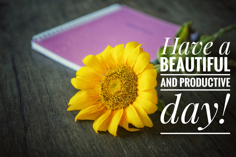 Have a beautiful and productive day